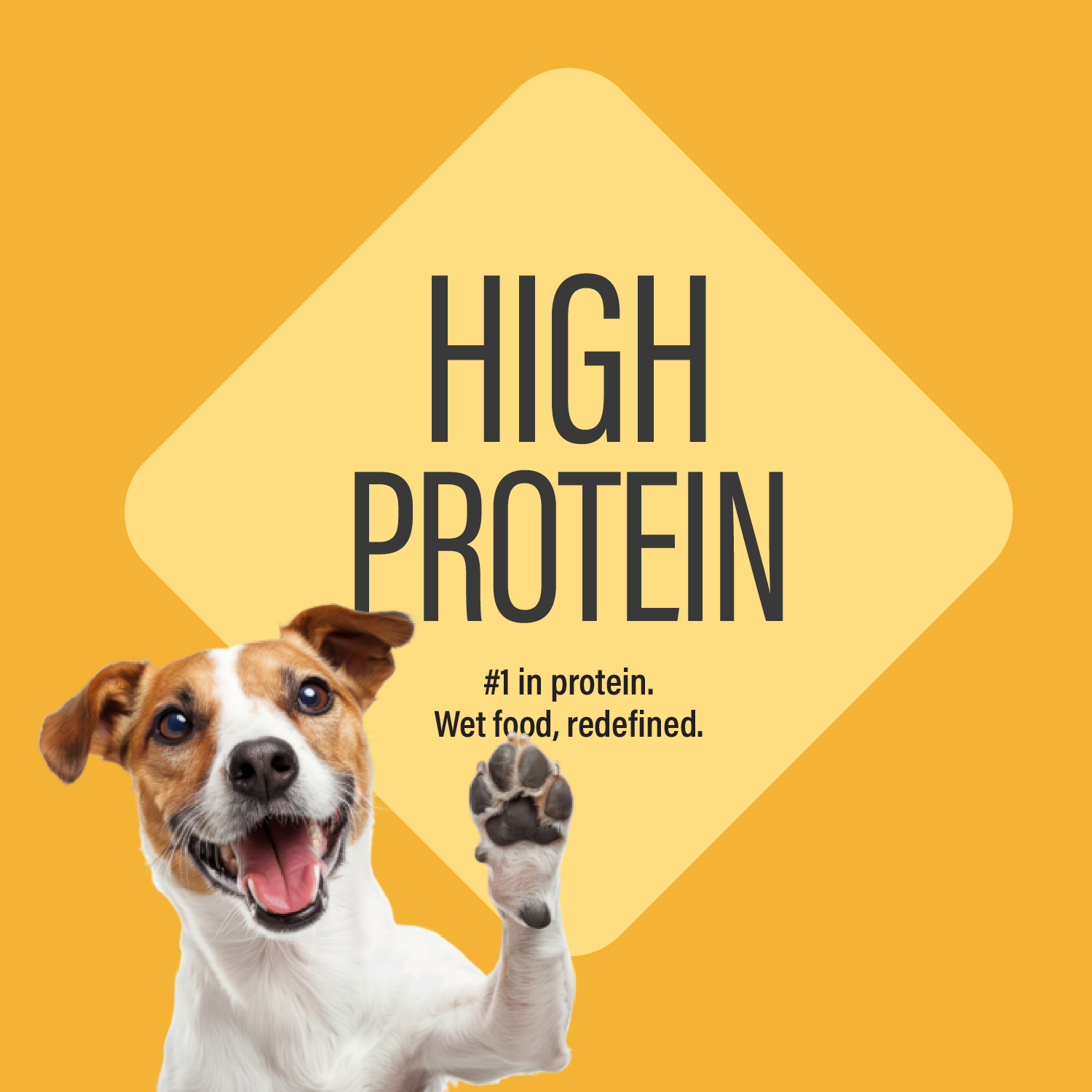 Variety Pack Dinner for Dogs – 4 Flavors