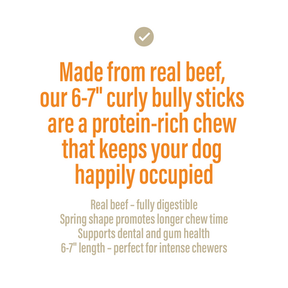 Bully Spring Chews for Dogs – 6-7" (6 Count)