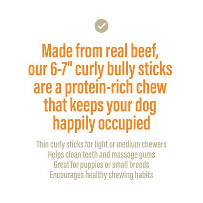 Bully Spring Extra Thin for Dogs (4oz)