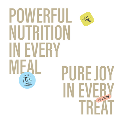 Collagen Sticks for Dogs – 5-6" (5 Count)