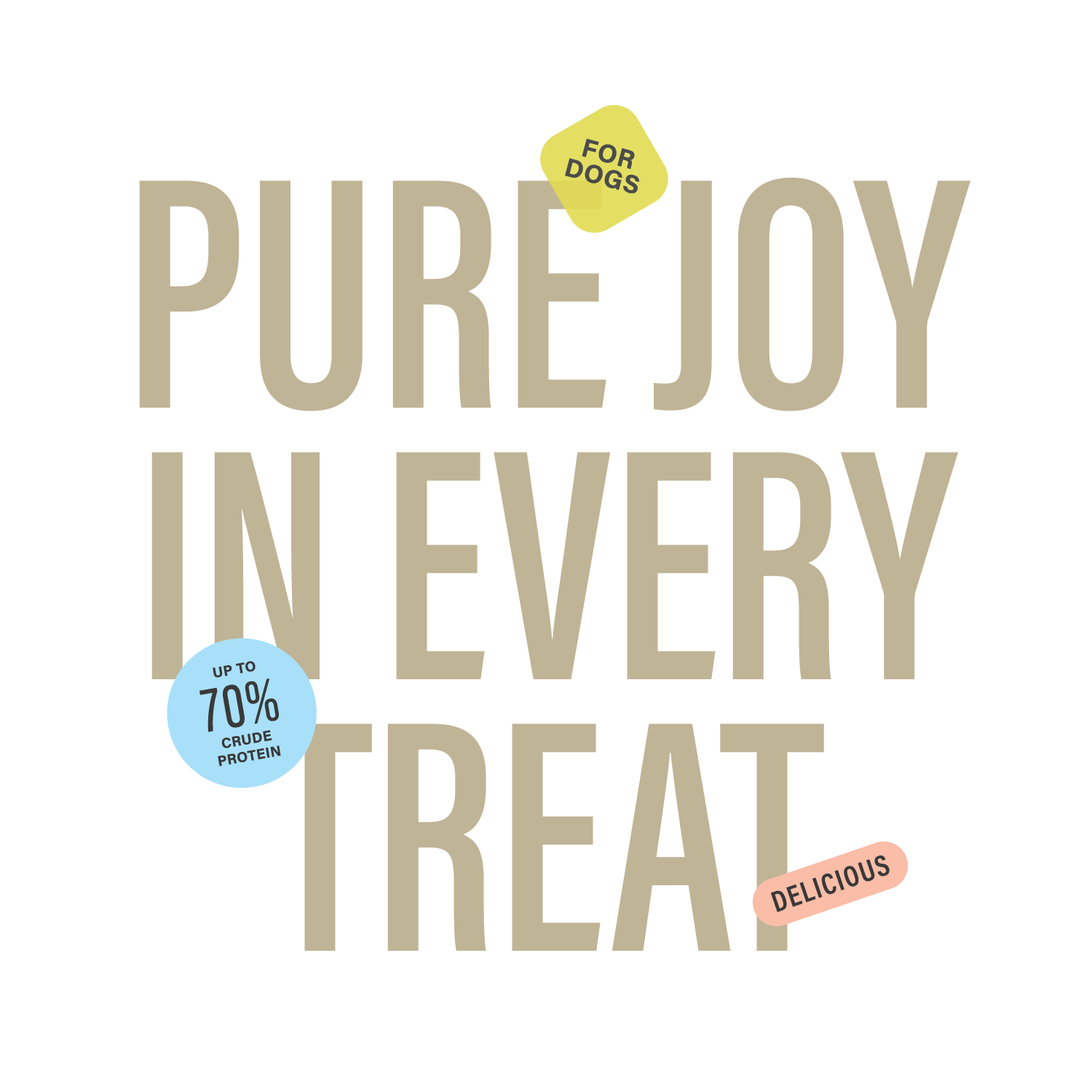 Braided Bully Sticks for Dogs – 5-6" (3 Count)