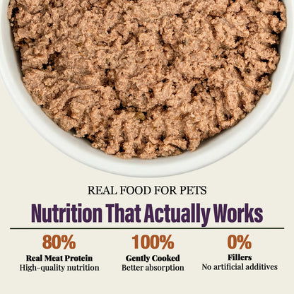 Variety Pack Dinner for Dogs – 4 Flavors