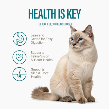 Variety Pack Dinner for Cats – 3 Flavors