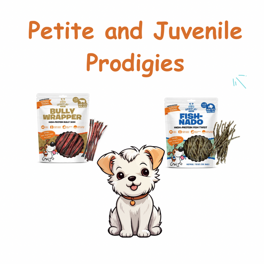 Chewer's Joy Petite & Juvenile Prodigies Bundle Dog Treats - All Natural and Full of Benefits. 