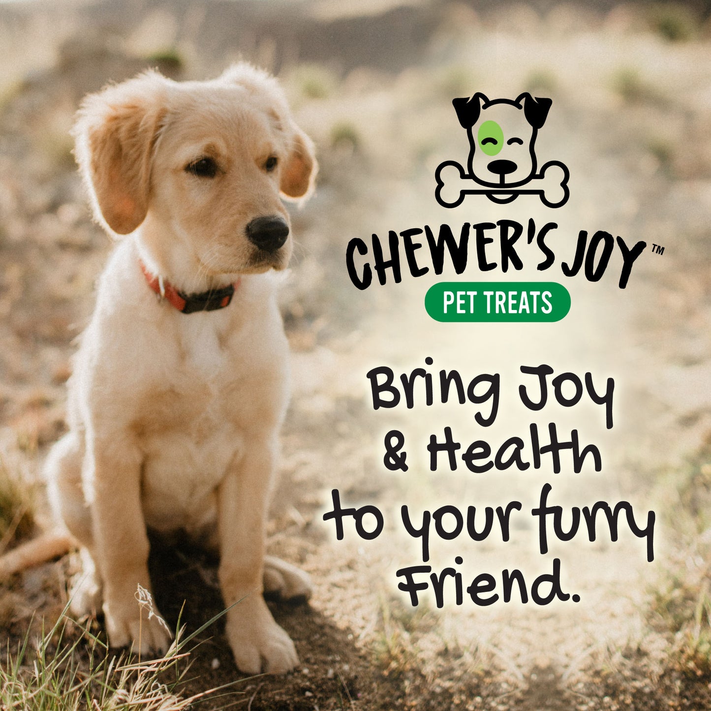 Chewer's Joy Petite & Juvenile Prodigies Bundle