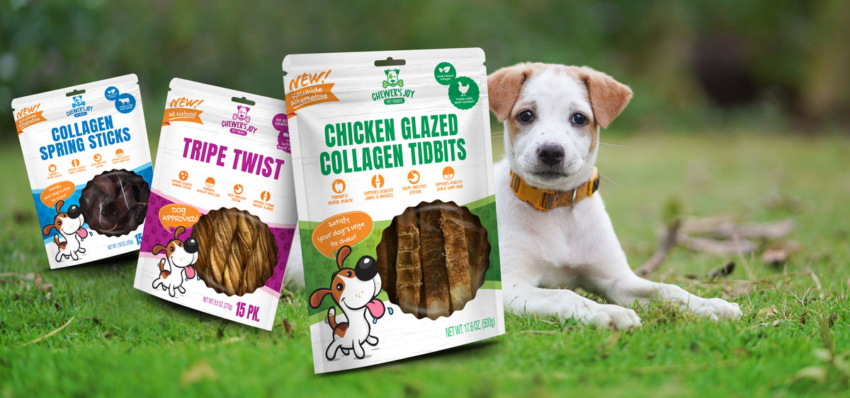 Bite-Sized Bliss: Tiny Treats, Big Joy Bite-Sized Bliss: Tiny Treats, Big Joy