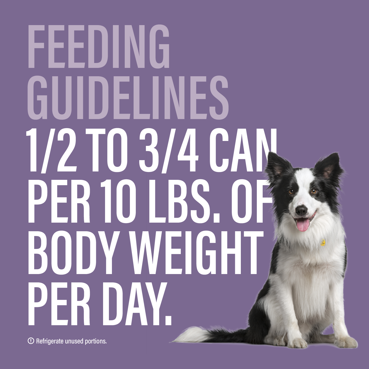 Variety Pack Dinner for Dogs – 4 Flavors