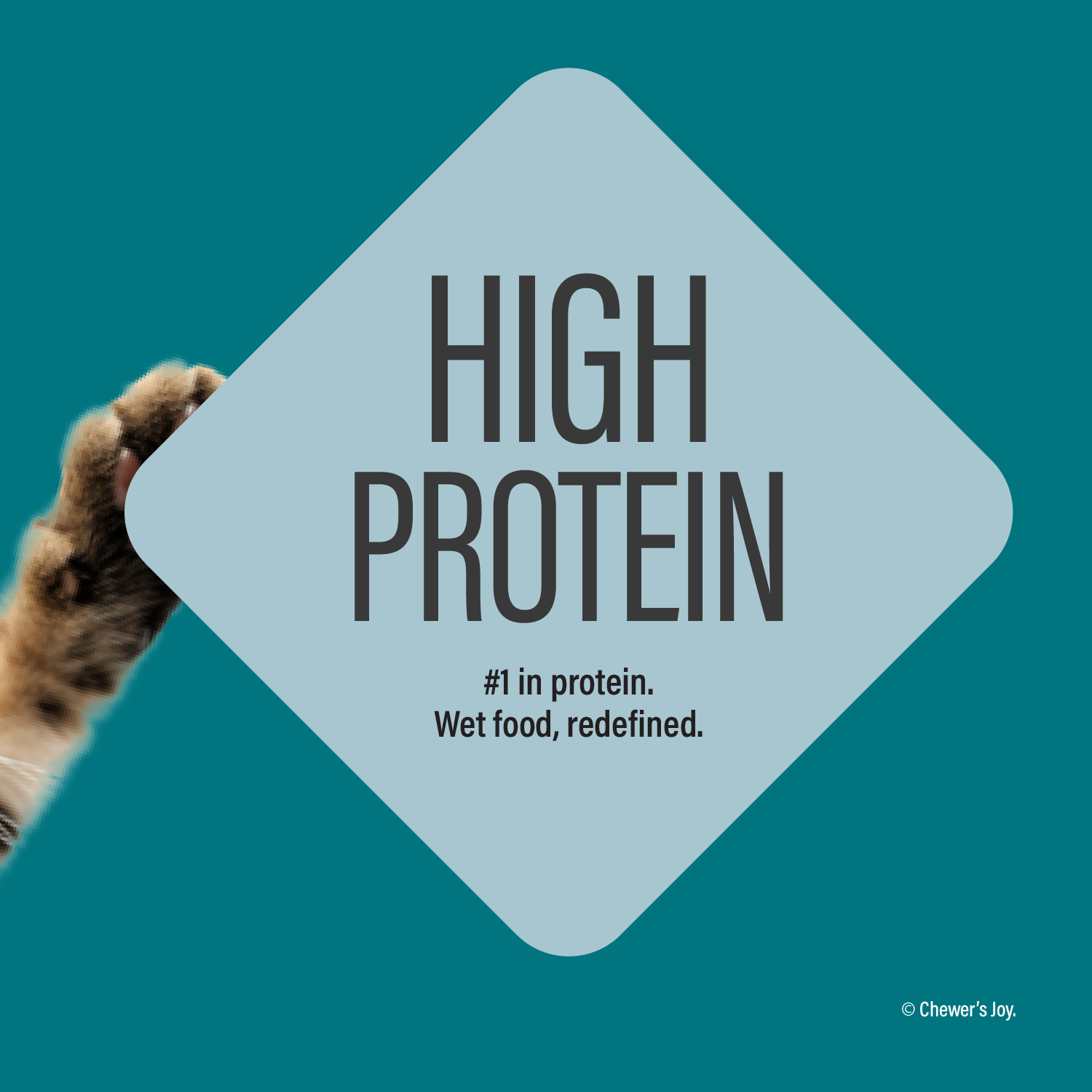 Variety Pack Dinner for Cats – 3 Flavors