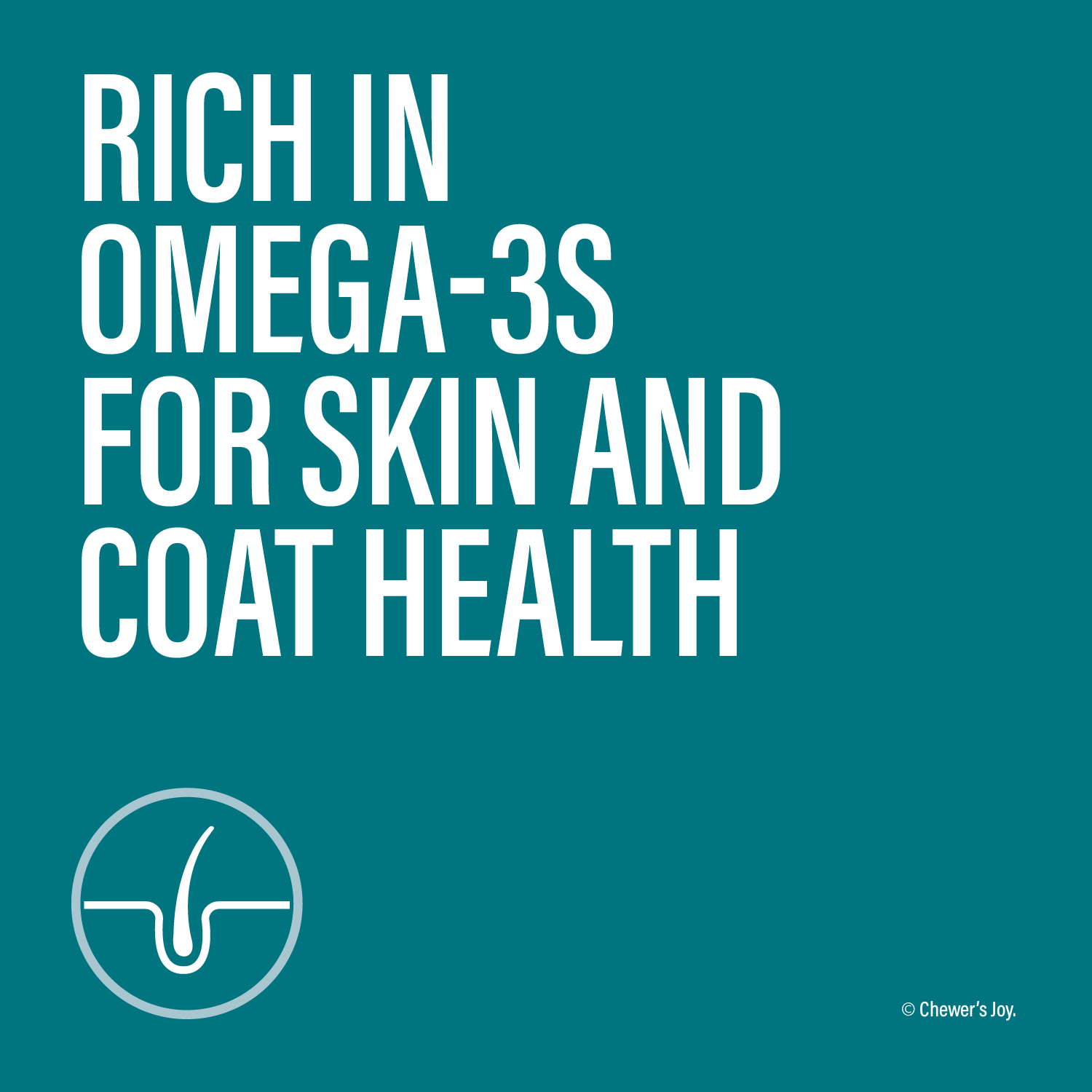 Variety Pack Dinner for Cats – 3 Flavors