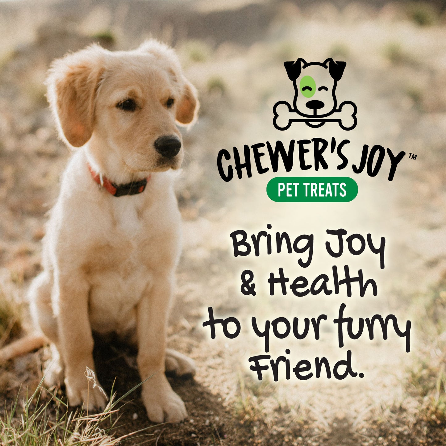 Chewer's Joy Large Variety Bundle Dog Treats: One of each 15pk collagen spring sticks, 15pk chicken glazed collagen tidbits, and 15pk tripe twist